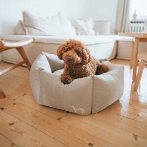 Orthopädisches Hundesofa / Orthopaedic Dog Sofa MERIDA sechseckig taupe Orthopedische Hondenmand 6-hoekig Taupe