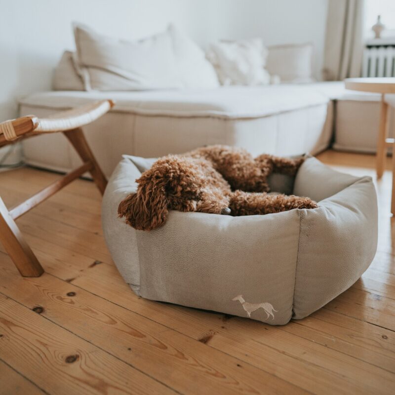 Orthopädisches Hundesofa / Orthopaedic Dog Sofa MERIDA sechseckig taupe Orthopedische Hondenmand 6-hoekig Taupe