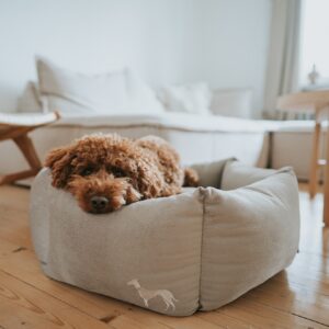 Orthopädisches Hundesofa / Orthopaedic Dog Sofa MERIDA sechseckig taupe Orthopedische Hondenmand 6-hoekig Taupe