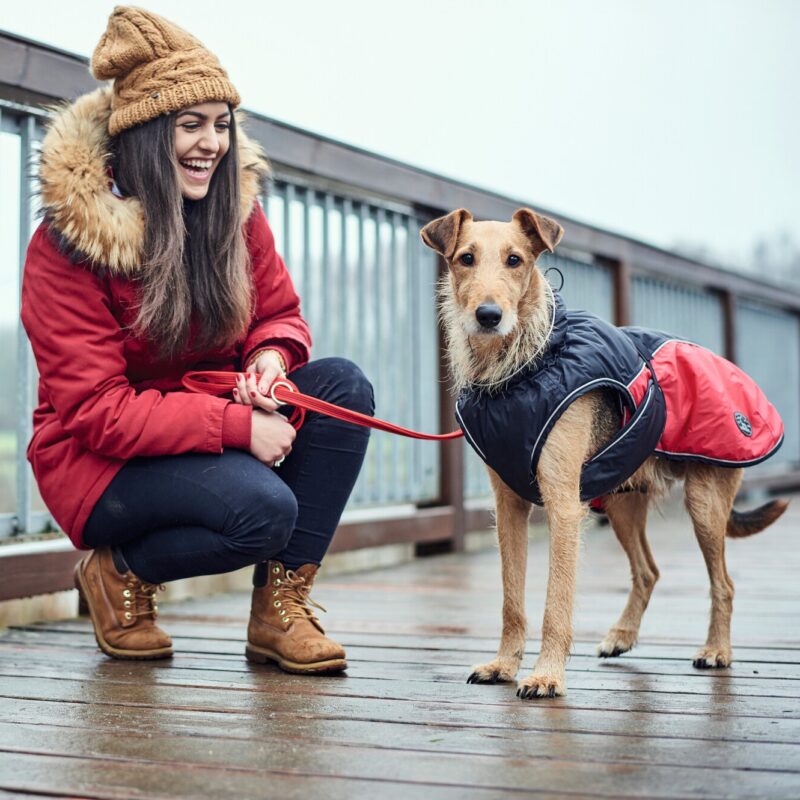 Hundemantel / Dog coat Uppsala Cozy rot Hondenjas Antraciet/Rood