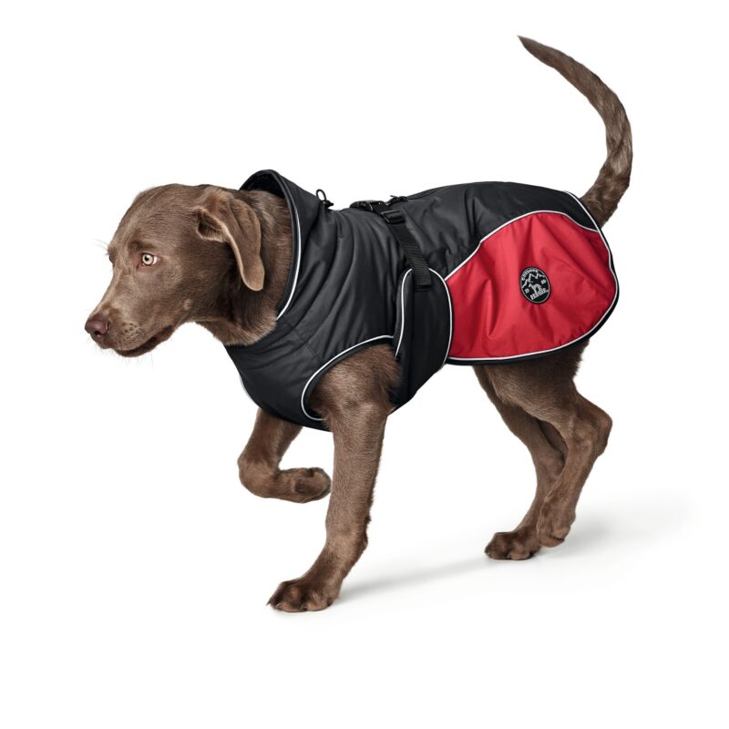 Hundemantel / Dog coat Uppsala Cozy rot Hondenjas Antraciet/Rood
