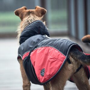Hundemantel / Dog coat Uppsala Cozy rot Hondenjas Antraciet/Rood