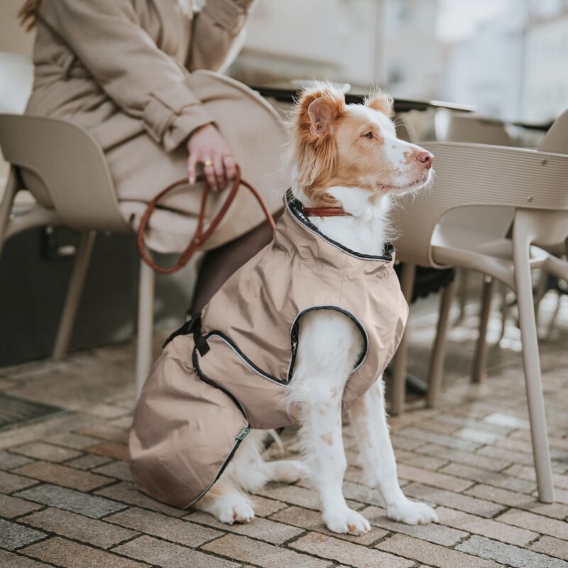 Hundemantel / Dog coat UPPSALA taupe Hondenjas Taupe