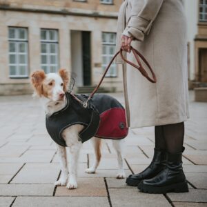 Hundemantel / Dog coat Uppsala Cozy rot Hondenjas Antraciet/Rood