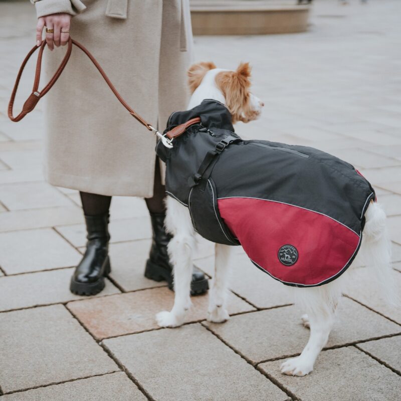 Hundemantel / Dog coat Uppsala Cozy rot Hondenjas Antraciet/Rood
