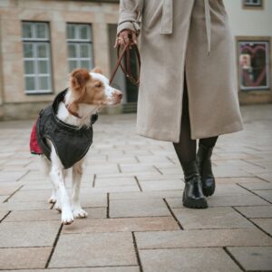 Hundemantel / Dog coat Uppsala Cozy rot Hondenjas Antraciet/Rood