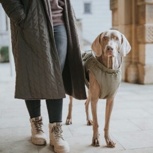 Hundemantel / Dog Coat UPPSALA Trend Hondenjas Khaki