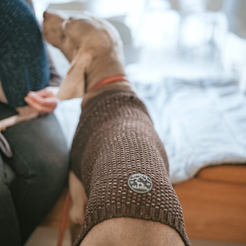 Hunepullover / Dog Pullover FINJA braun Hondentrui Bruin