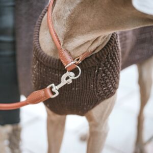 Hunepullover / Dog Pullover FINJA braun Hondentrui Bruin