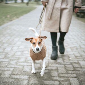 Hundepullover / Dog pullover MALMÖ beige Hondentrui Beige