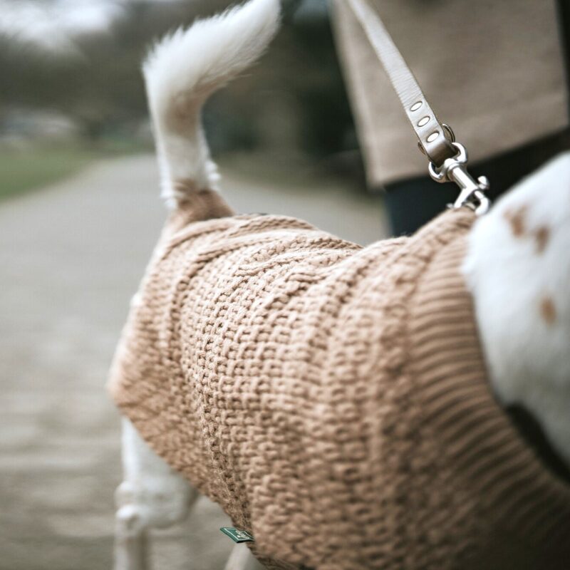 Hundepullover / Dog pullover MALMÖ beige Hondentrui Beige