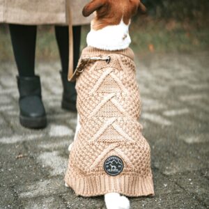 Hundepullover / Dog pullover MALMÖ beige Hondentrui Beige