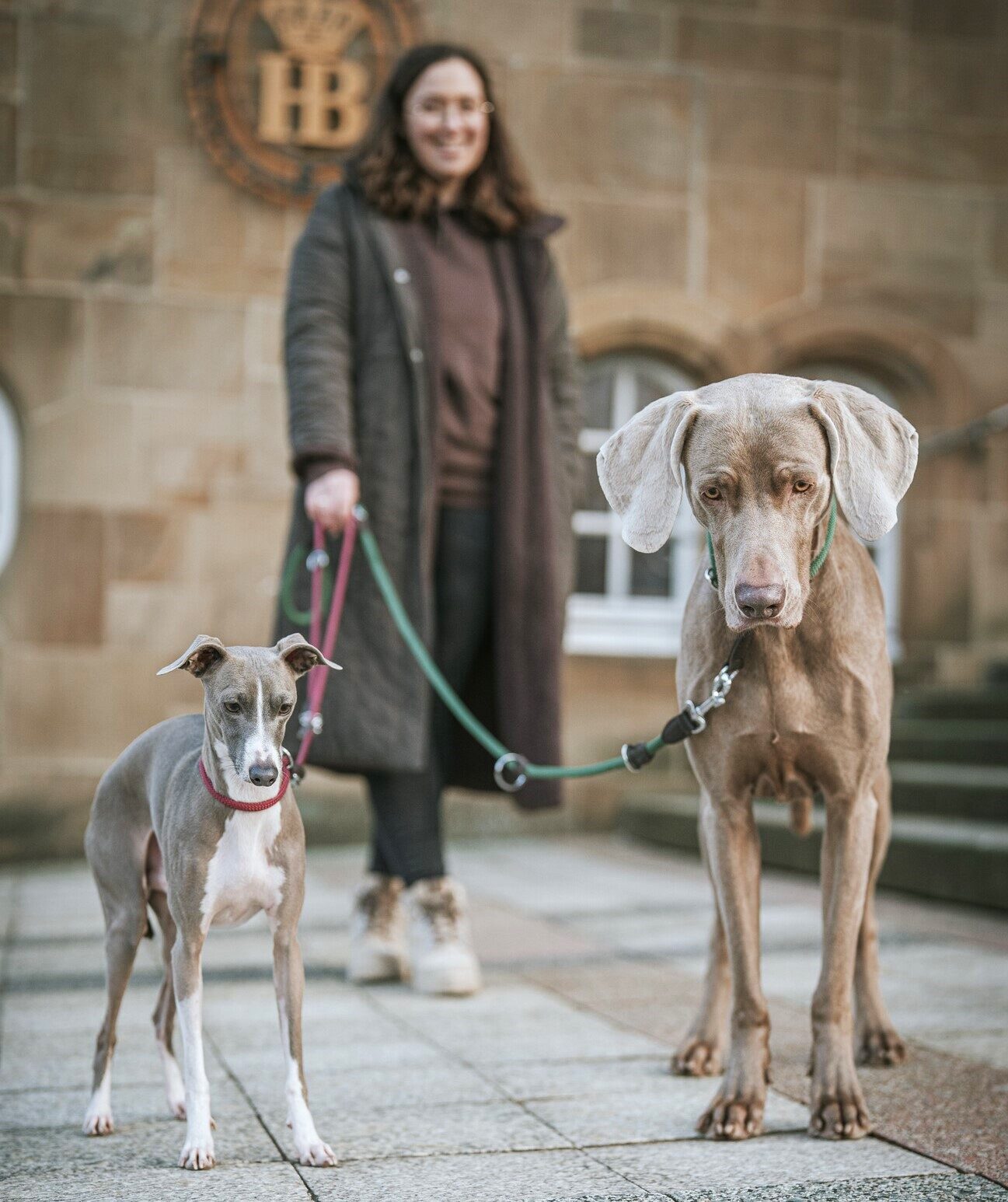 Contact 1 HUNTER 25379 201913 001 live 24 lpr kopie