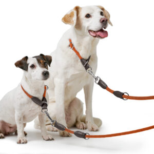 HUNTER_25621_201880_002_image_24_alpha-lpr.jpg Handsfree Hondenriem Oranje