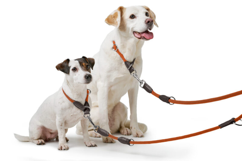 HUNTER_25621_201880_002_image_24_alpha-lpr.jpg Handsfree Hondenriem Oranje