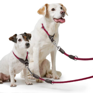 Handsfree Hondenriem Bordeaux