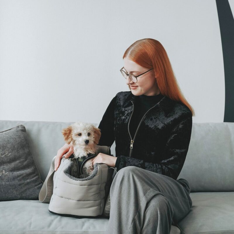 Hunde-Tragetasche SEOUL Hondentas & Reisdeken