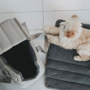 Hunde-Tragetasche SEOUL Hondentas & Reisdeken