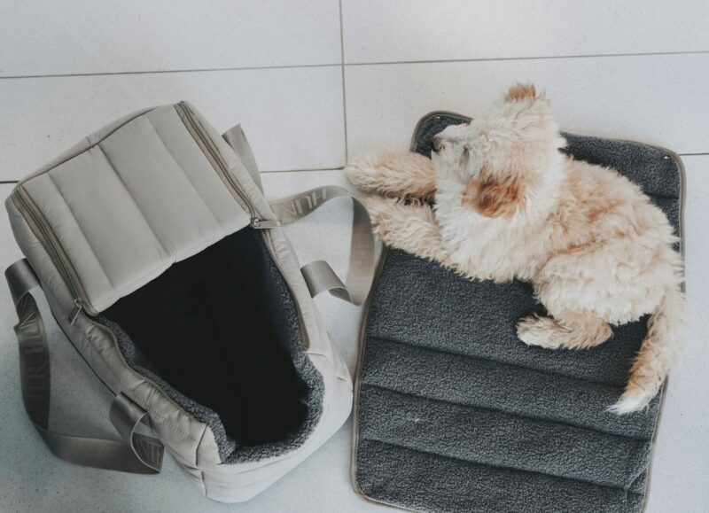 Hunde-Tragetasche SEOUL Hondentas & Reisdeken