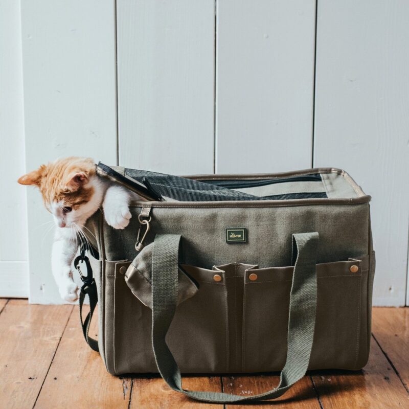 Tragetasche / Carry bag MADISON khaki Hondentas Khaki