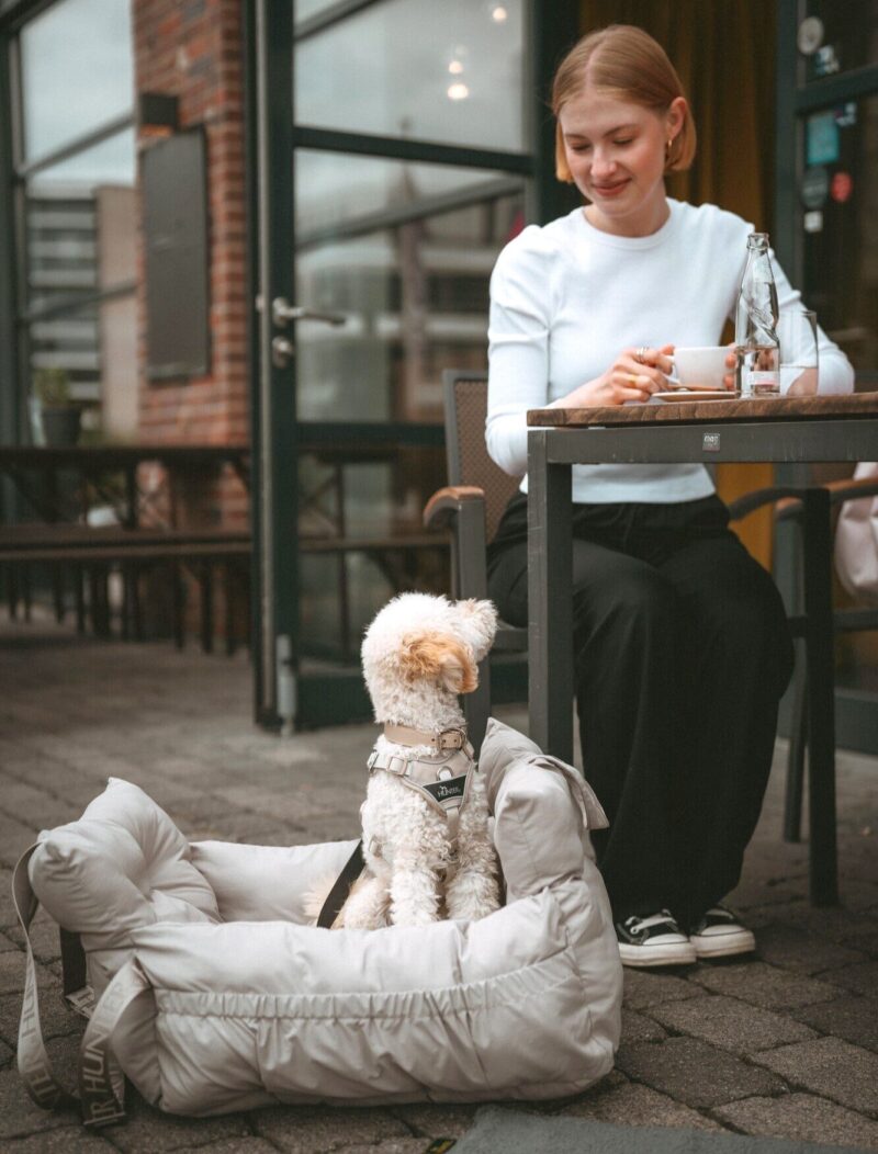 Hunde-Tragetasche SEOUL Hondenmand Auto/ Reismand