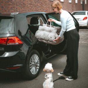 Hunde-Tragetasche SEOUL Hondenmand Auto/ Reismand