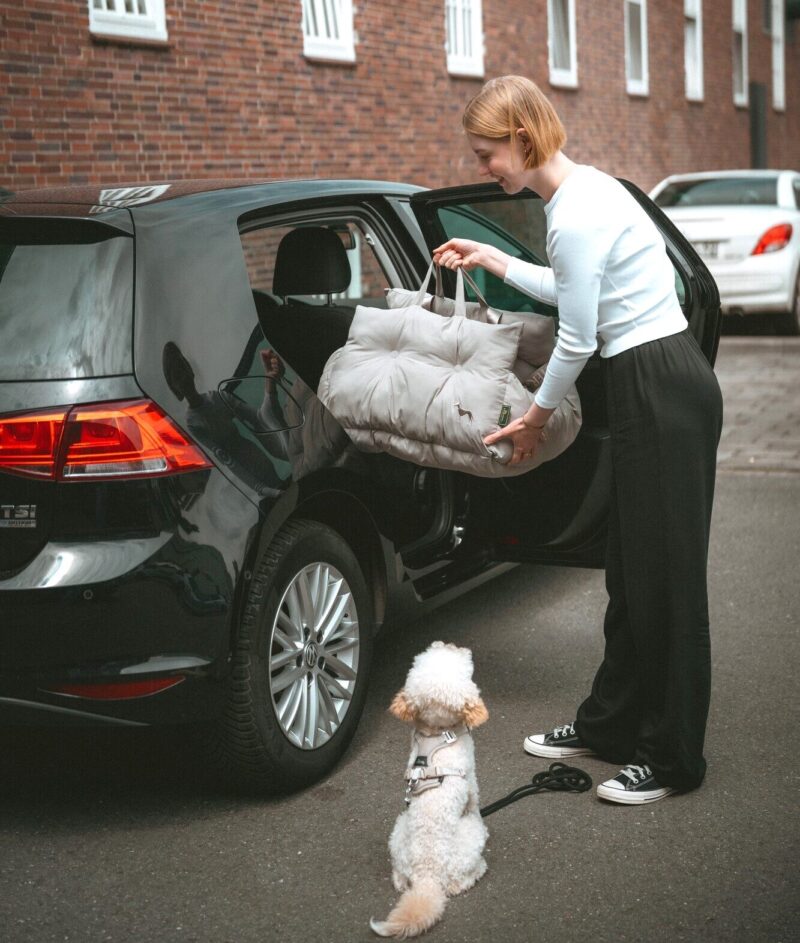 Hunde-Tragetasche SEOUL Hondenmand Auto/ Reismand