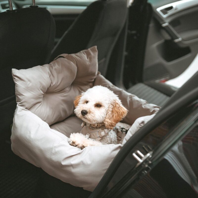 Hunde-Tragetasche SEOUL Hondenmand Auto/ Reismand