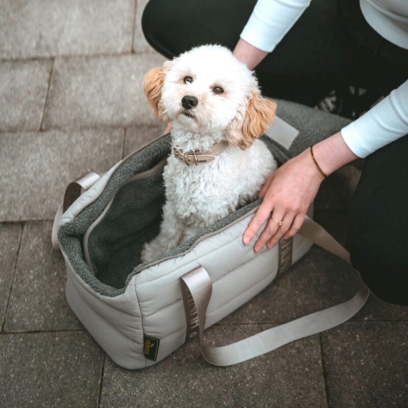 Hunde-Tragetasche SEOUL Hondentas & Reisdeken