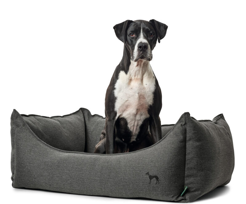 HUNTER_9274_60862_001_image_17-lpr.jpg Hondenmand Livingston Antraciet