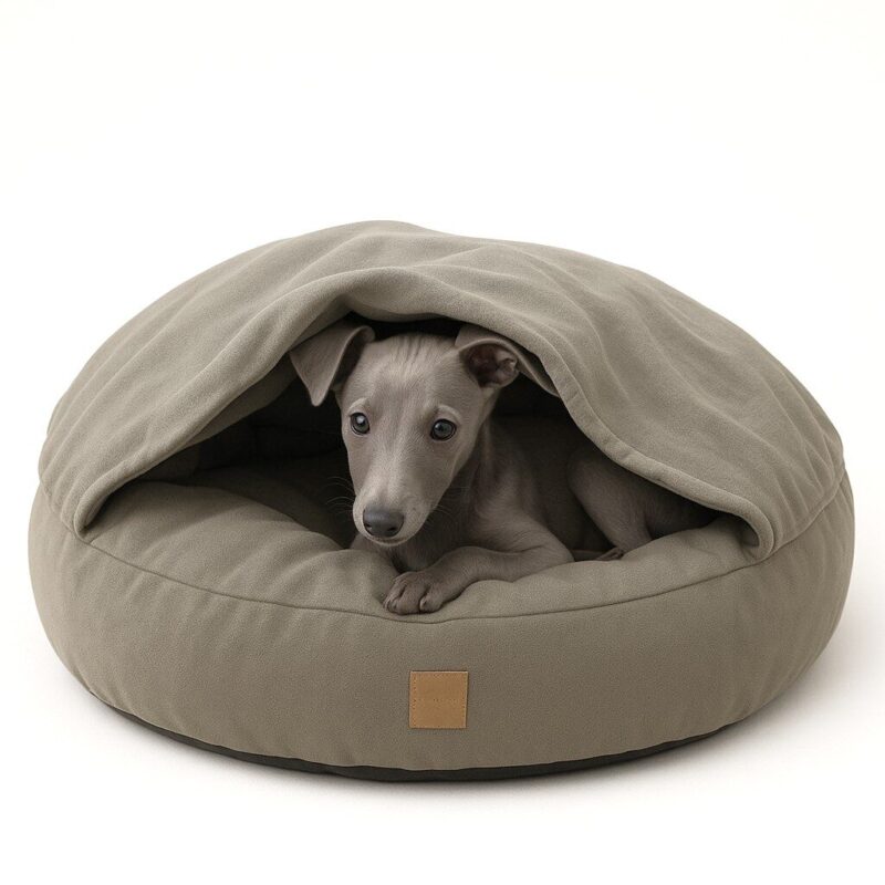 Hondencave-Liam-Olivo-Sora-kopie.jpg Hondencave Liam Olivo