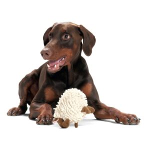 Hondenknuffel-Schaap-4.jpg Hondenknuffel Kleine Schaap