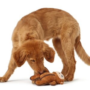 Hondenknuffel-Sterke-Aap-nieuw.jpg Hondenknuffel Sterke Aap