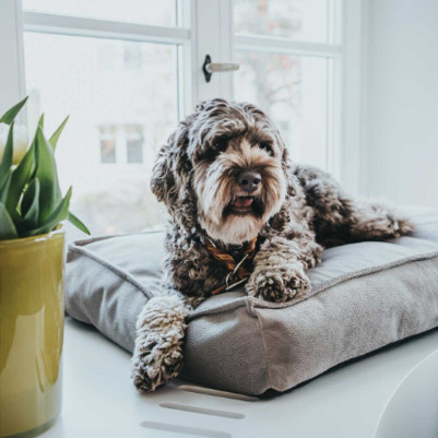 Hunter_Orthopaedic-dog-cushion-Merida.jpg Orthopedisch Hondenkussen Grijs