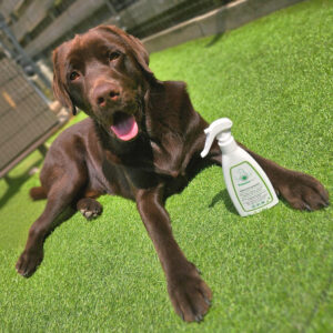 Anti-Vlooien & Teken Vachtspray