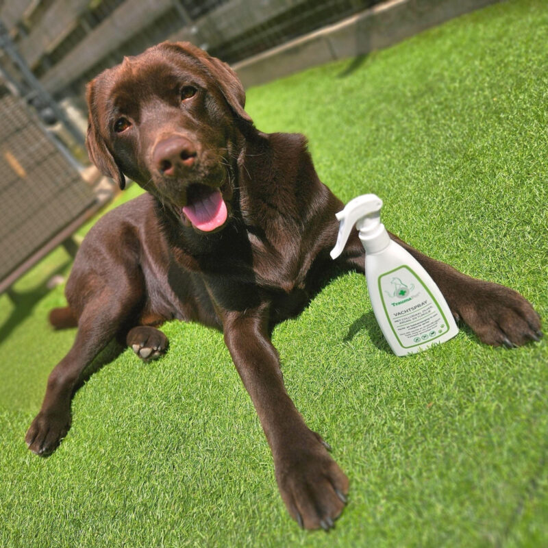 Anti-Vlooien & Teken Vachtspray