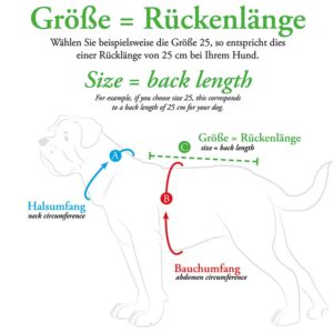 Meetinstructies-hondentrui.jpg Hondentrui Bruin