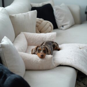 NUZZLE-3-2.jpeg Hondendeken Bank Wit