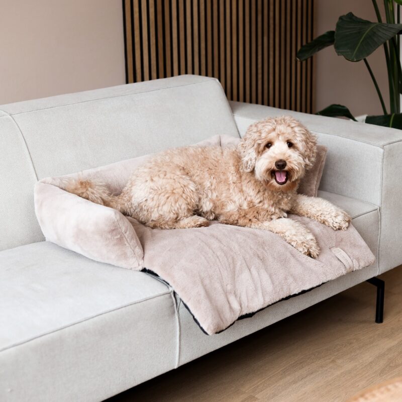 Hondendeken Bank Taupe