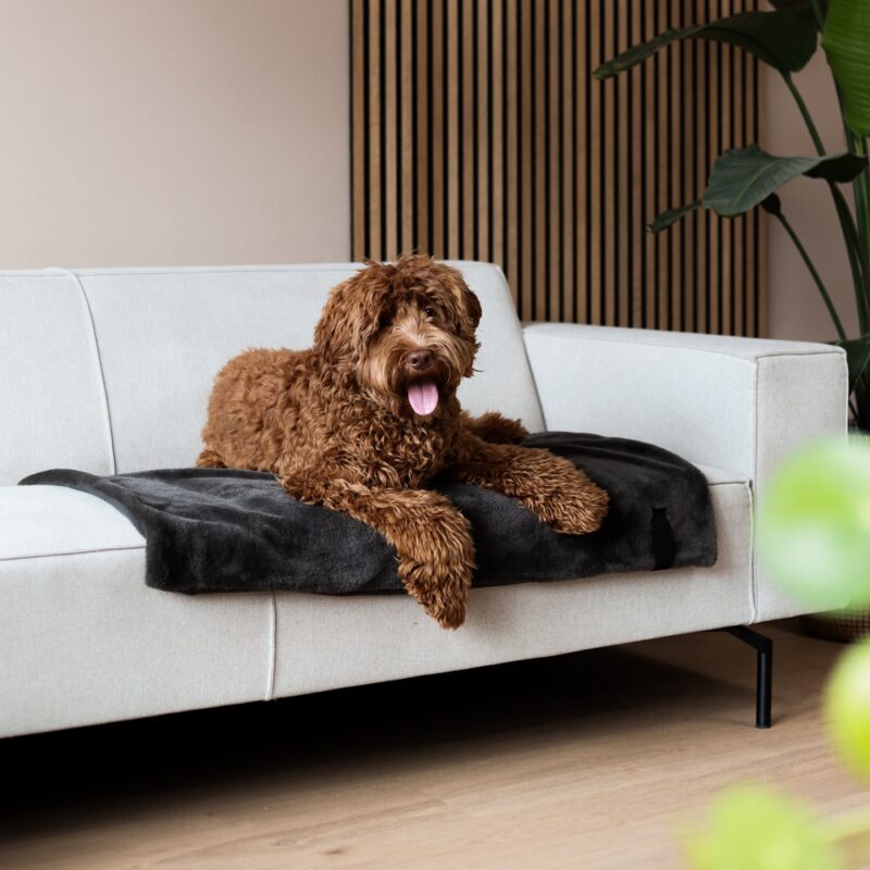 NUZZLE-Blanket_3.jpg Hondendeken Pluche Donkergrijs (100x70cm)