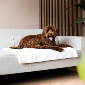 NUZZLE-Blanket_4.jpg Hondendeken Pluche Wit (100x70cm)