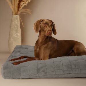 Orthopedisch-hondenkussen-grijs-2-1.jpg Orthopedisch Hondenkussen Grijs