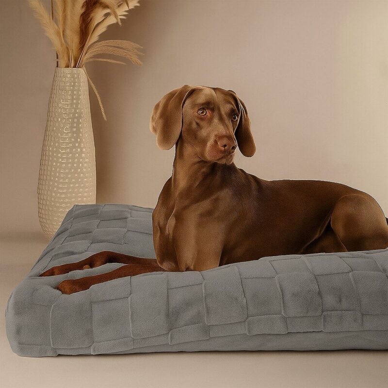 Orthopedisch-hondenkussen-grijs-2-1.jpg Orthopedisch Hondenkussen Grijs