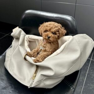 Pip-van-Pieternel-2.jpg Hondentas Leer Beige