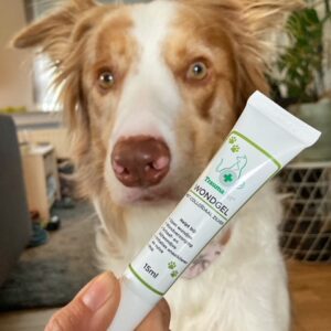 Rafiki.bordercollie10-wondgel-kopie.jpeg Wondgel met Colloïdaal Zilver 15ML