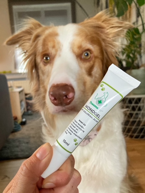 Rafiki.bordercollie10-wondgel-kopie.jpeg Wondgel met Colloïdaal Zilver 15ML