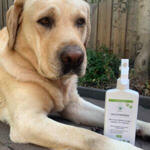 Anti-Vlooien & Teken Vachtspray