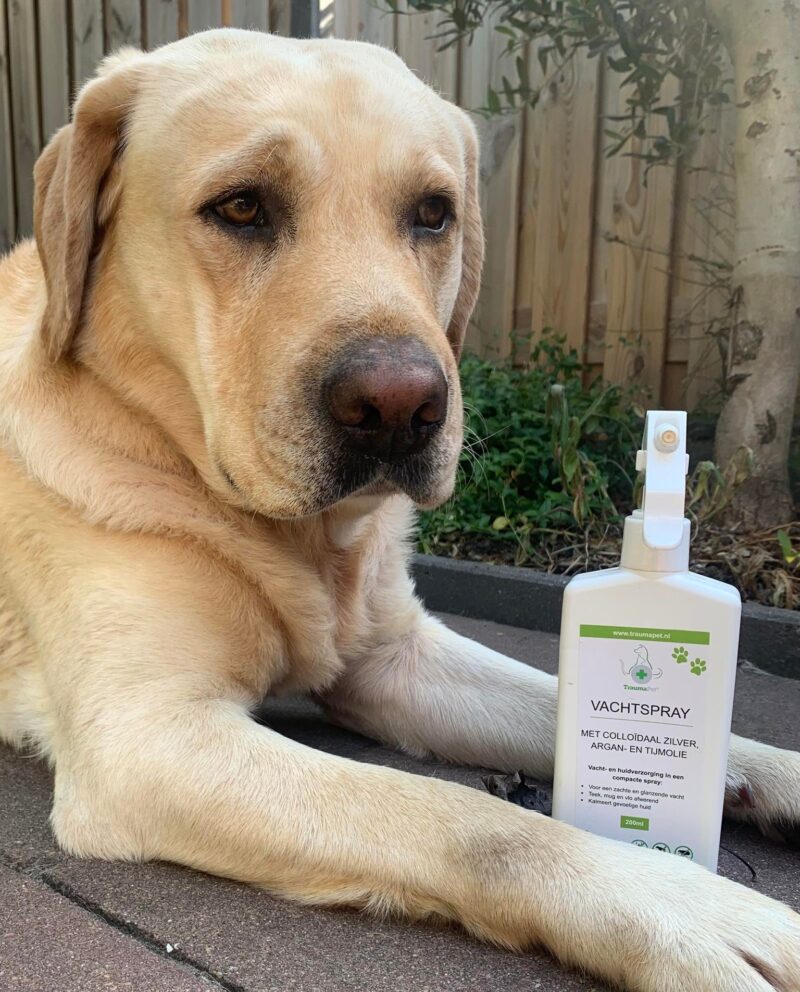 Anti-Vlooien & Teken Vachtspray