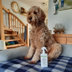 Anti-Vlooien & Teken Vachtspray