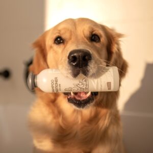 Shampoo-Conditioner-1.jpg Shampoo & Conditioner (2-in-1)